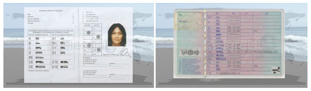 Mein 1. Internationaler Führerschein - susiereist