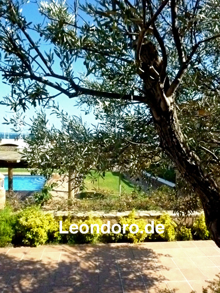 Terrasse mit Pool