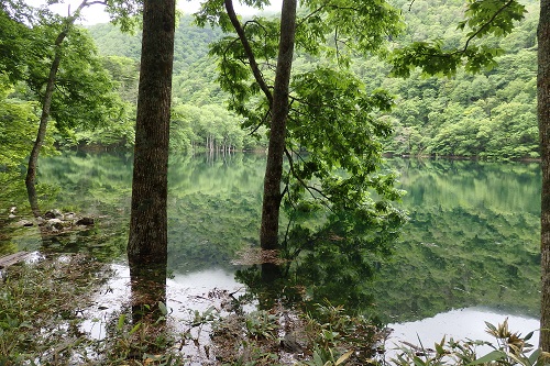 豊似湖