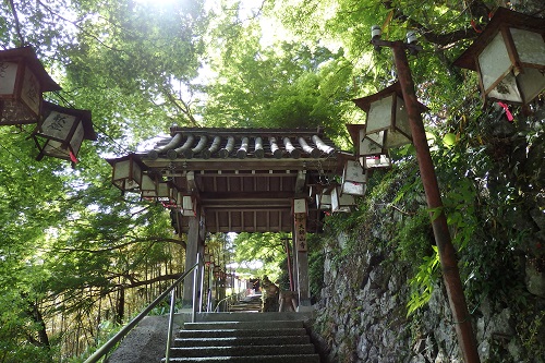 新緑の頃に訪れたときの大師山寺さん 山の上にあります