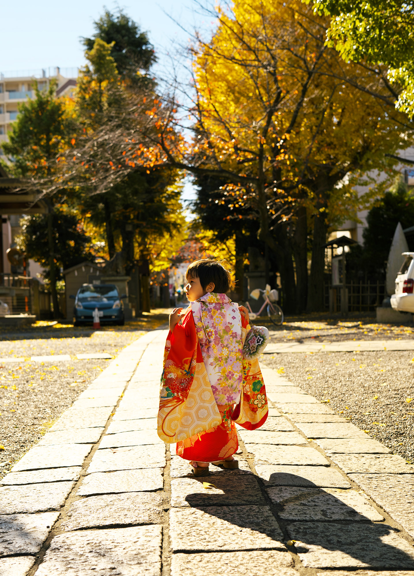 七五三 出張撮影 神社 亀戸 香取神社