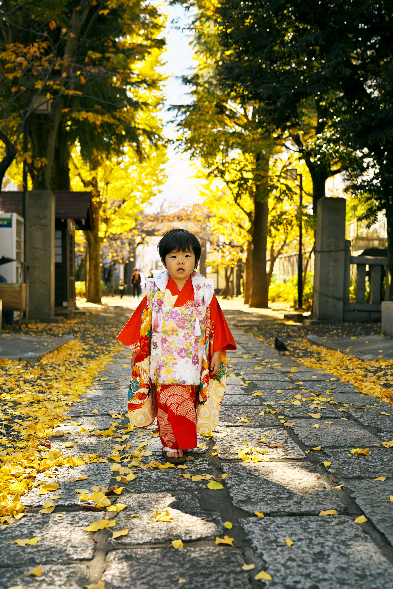 七五三 出張撮影 神社 亀戸 香取神社
