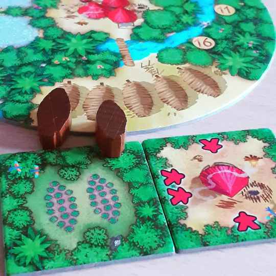 récupération de graines de cacao