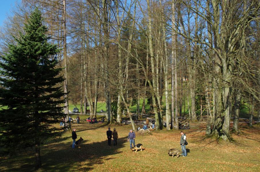 Mit einem Traumtag begrüßte uns das Salzkammergut.