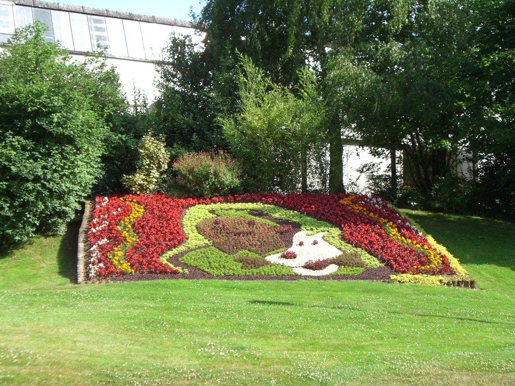 Mayenne en fleur
