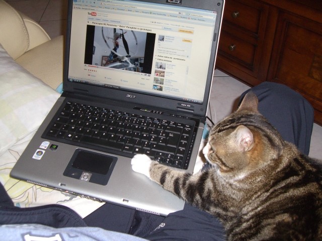 Vive le Pc