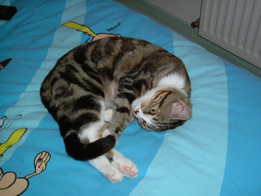 Trop dur !
