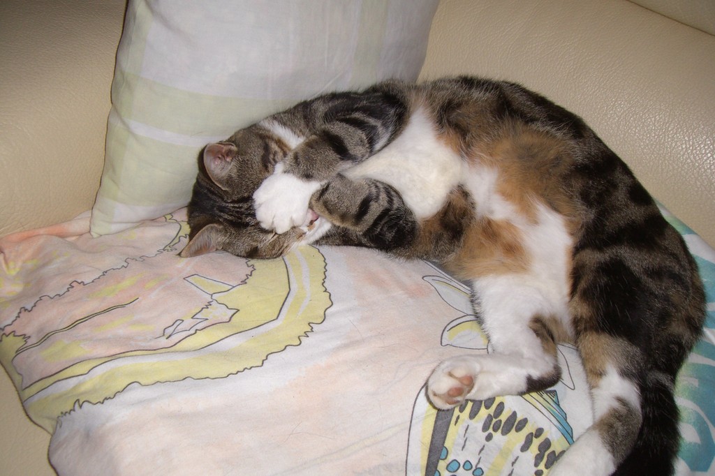 Trop trop dur !