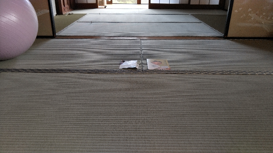 熊本産表を使用しました。