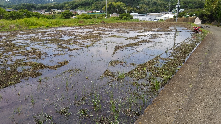 田んぼの代掻きをしました。