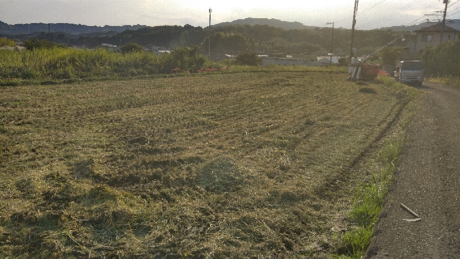 稲刈りをしました。