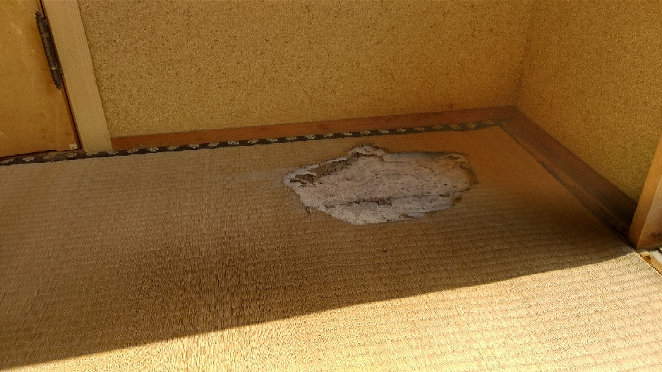 シロアリ被害の畳です。