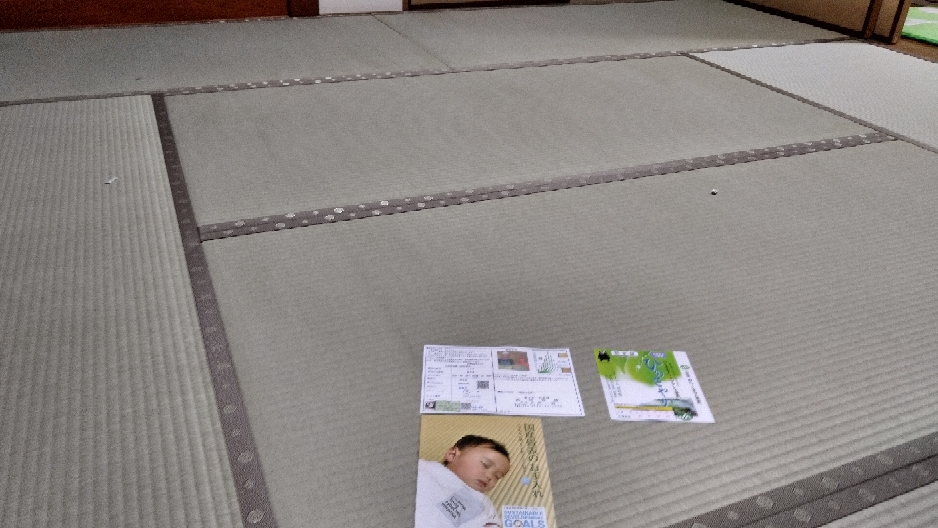 熊本産表を使用して畳替えしました。