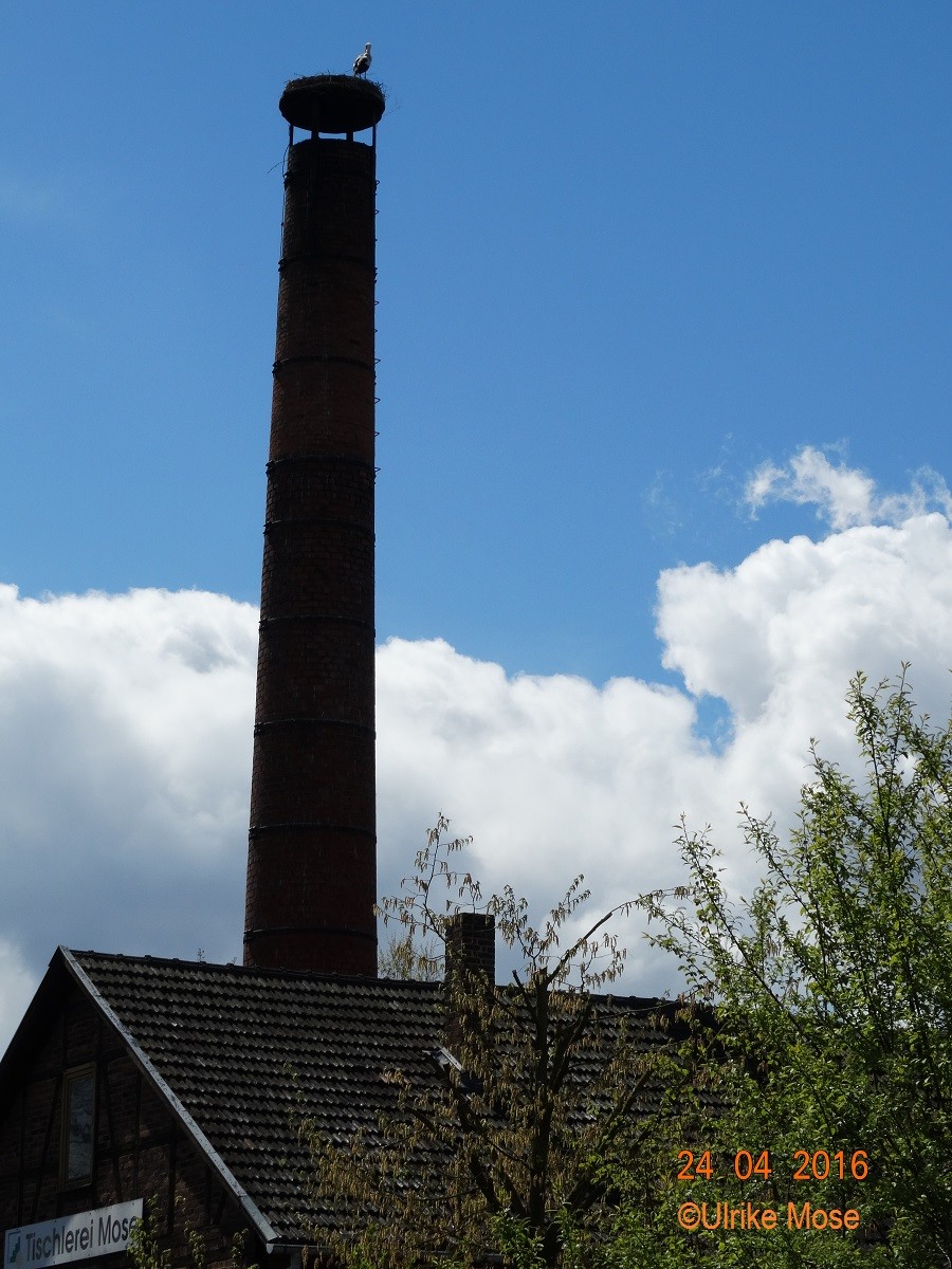 Wieder dicken Wolken im Anmarsch.