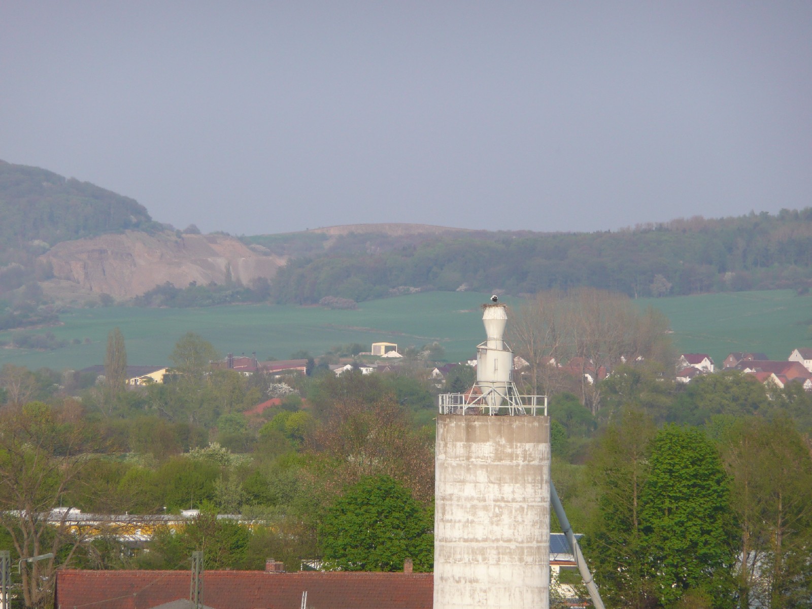 ... und die Storchennachbarn auf dem Spänebunker Blecher.