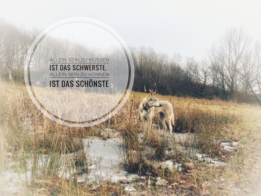 Get Gerne alleine sein For Free