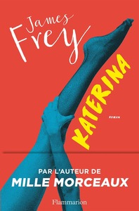Couverture roman Katerina #roman #américain #mémoire #fiction #drogue #depression #alcool #mine #réfugiéspar guillaume cherel