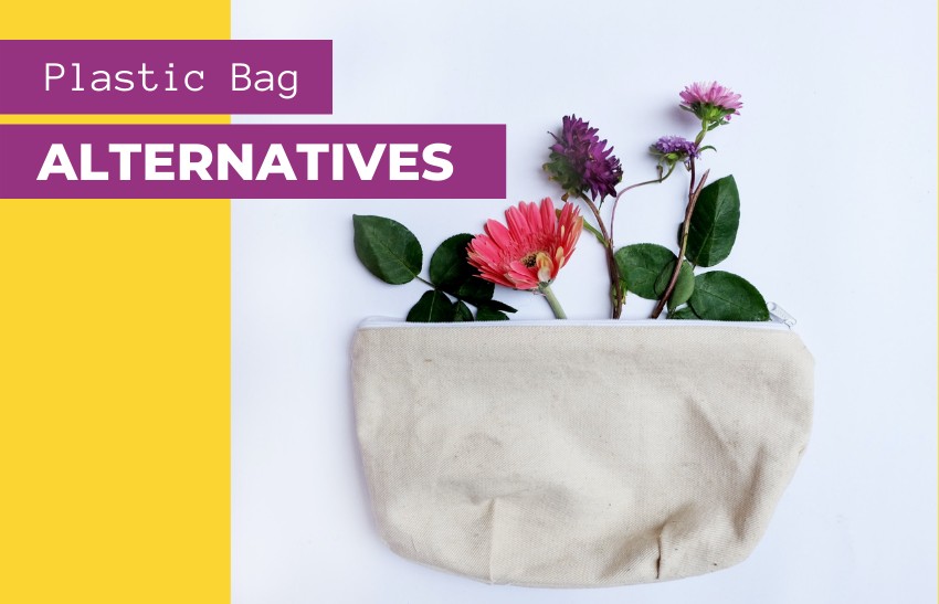 8 Excellent Plastic Bag Alternatives For An EcoFriendly Lifestyle