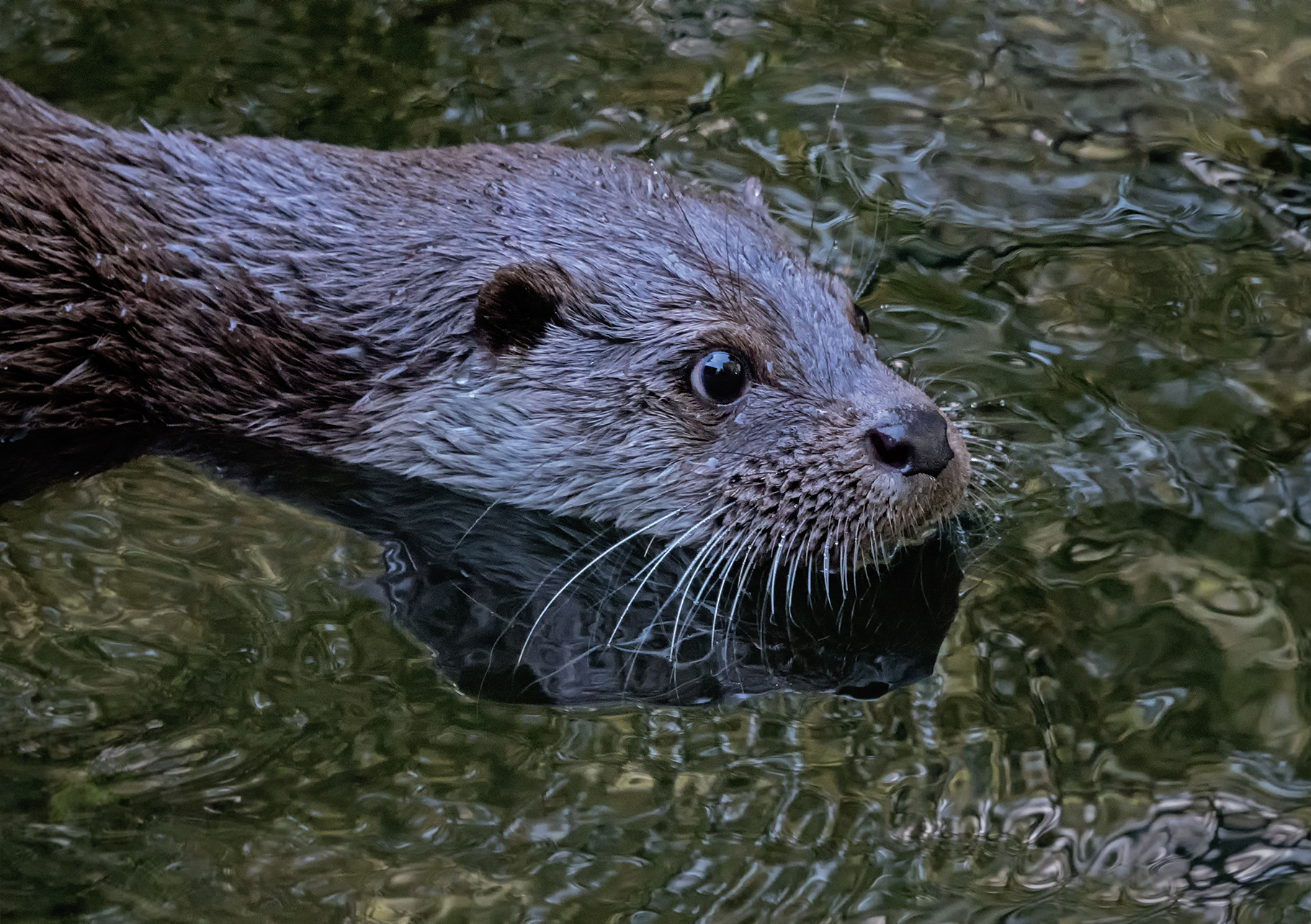 Juni © 2025 | J. Schmidbauer