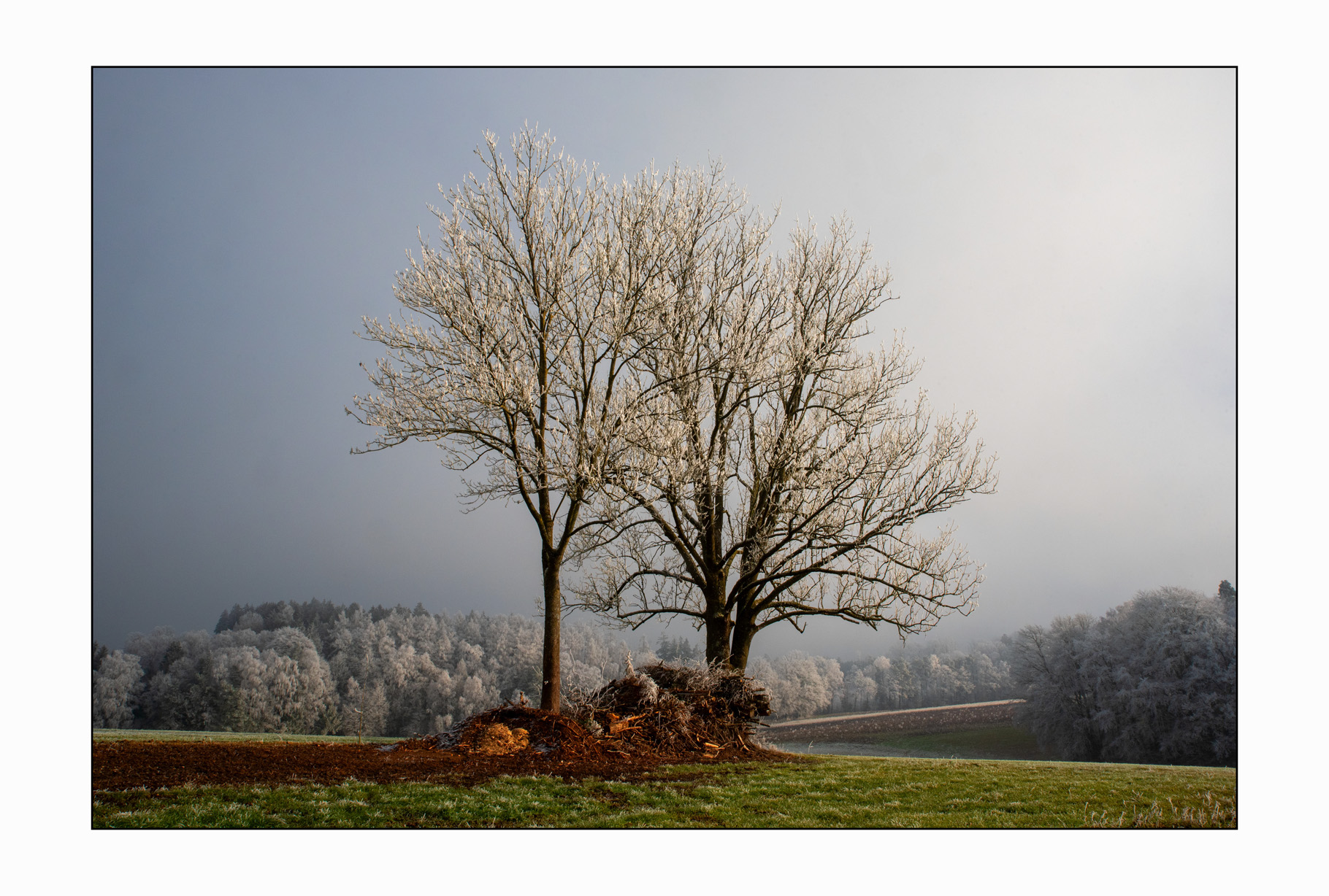 April © 2026 | D. Mahler