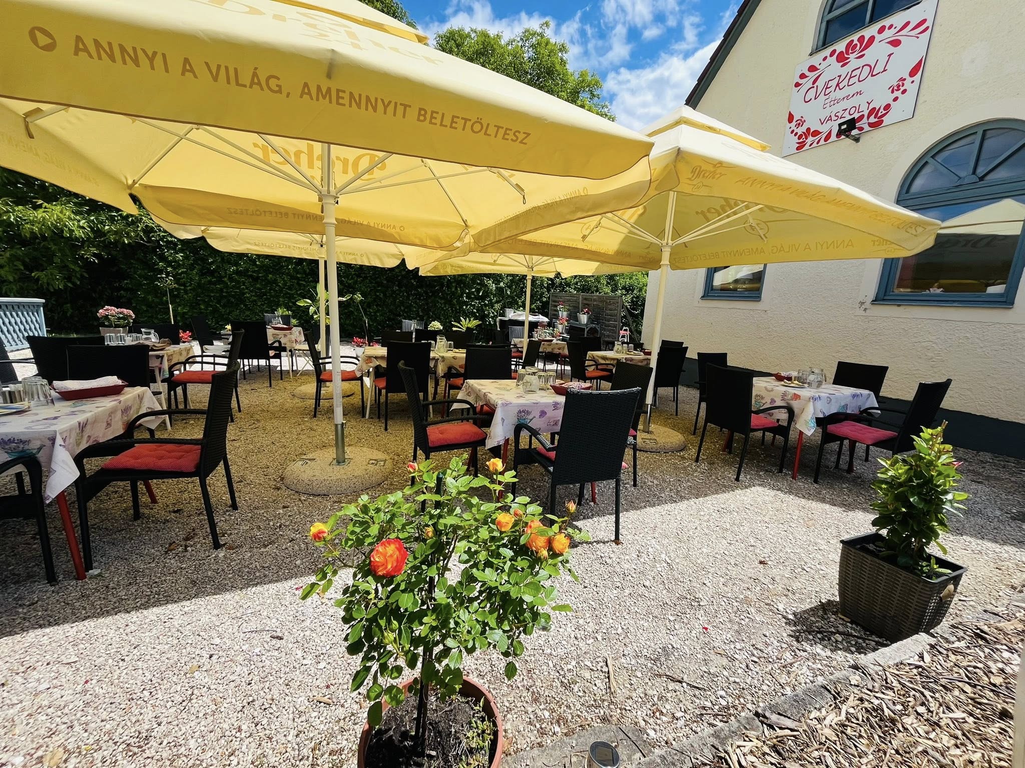 Buitenterras bij Cvekedli