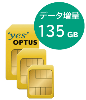 SIM30ドルパック