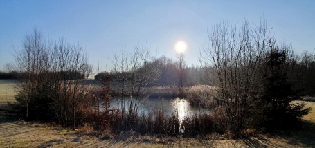 Morgenstimmung am Golfplatz Hammetweil. - Foto: Birgit Schmidt