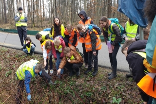 Wo sind sie, die Feuersalamander? - Foto: Agnes Pahler