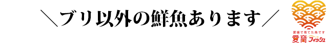 ブリ以外の鮮魚あります