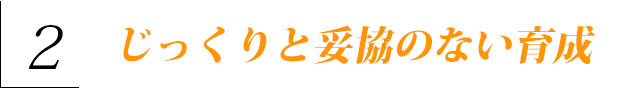 2 じっくりと妥協のない育成