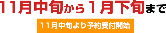 11月中旬から1月下旬まで　11月中旬より予約受付開始
