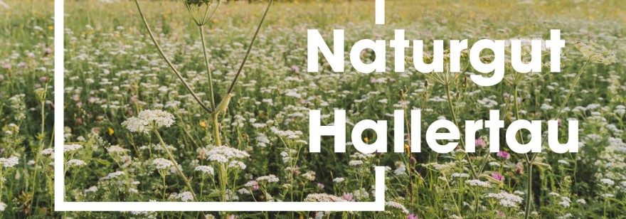 Tipp: Ausstellung Naturgut Hallertau ab 10. Januar in Wolnzach