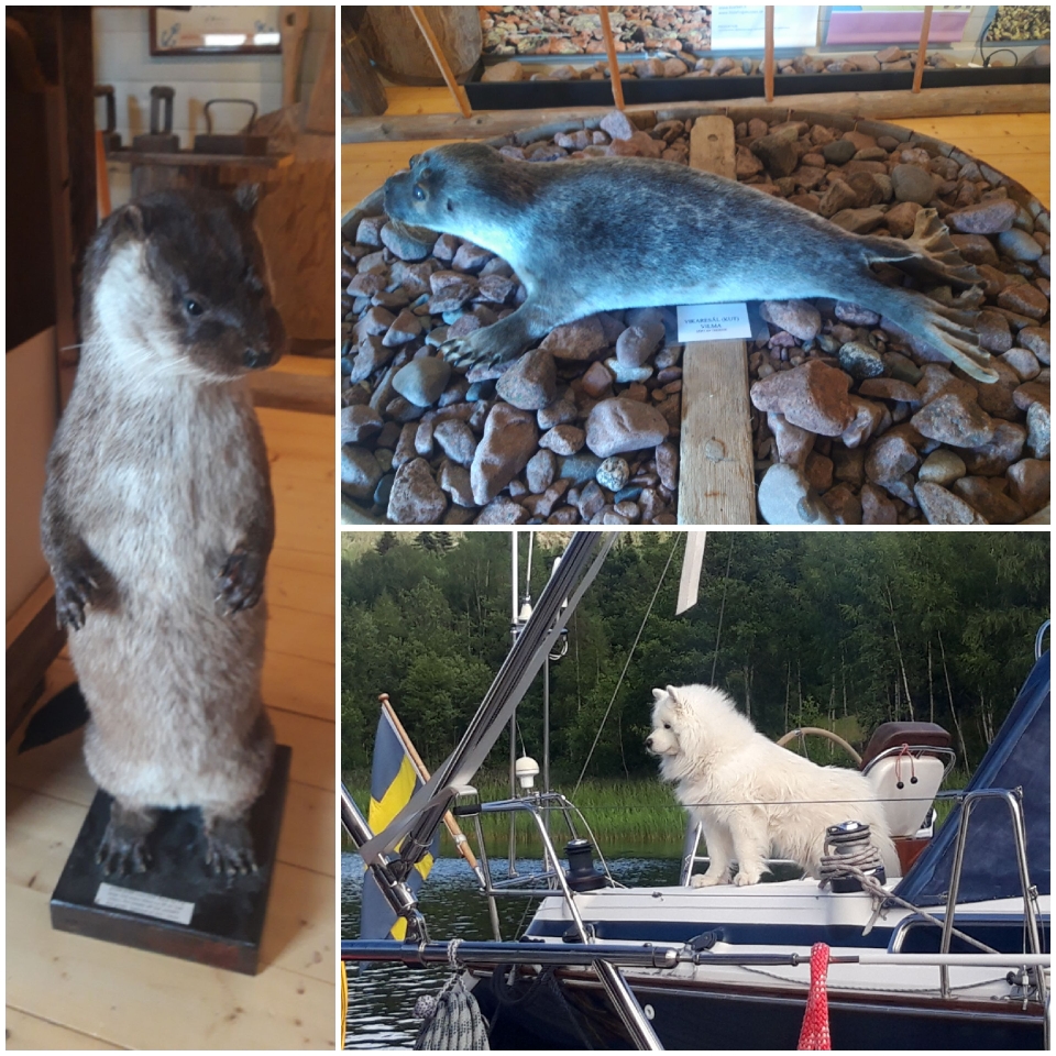 Manche Tiere findet man im Museum und manche auf dem Nachbarschiff.