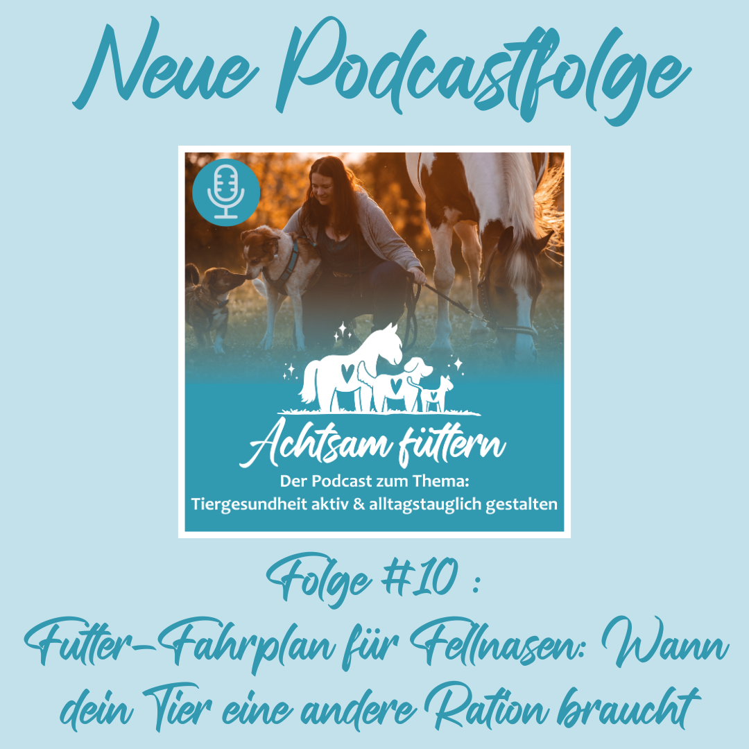 Folge #10 Futter-Fahrplan für Fellnasen: Wann dein Tier eine andere Ration braucht