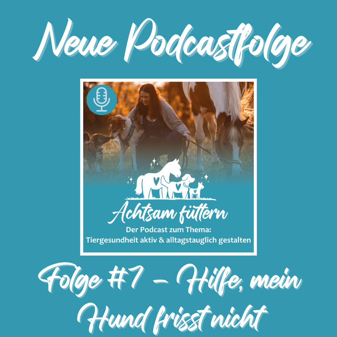 Folge #7 - Hilfe, mein Hund frisst nicht