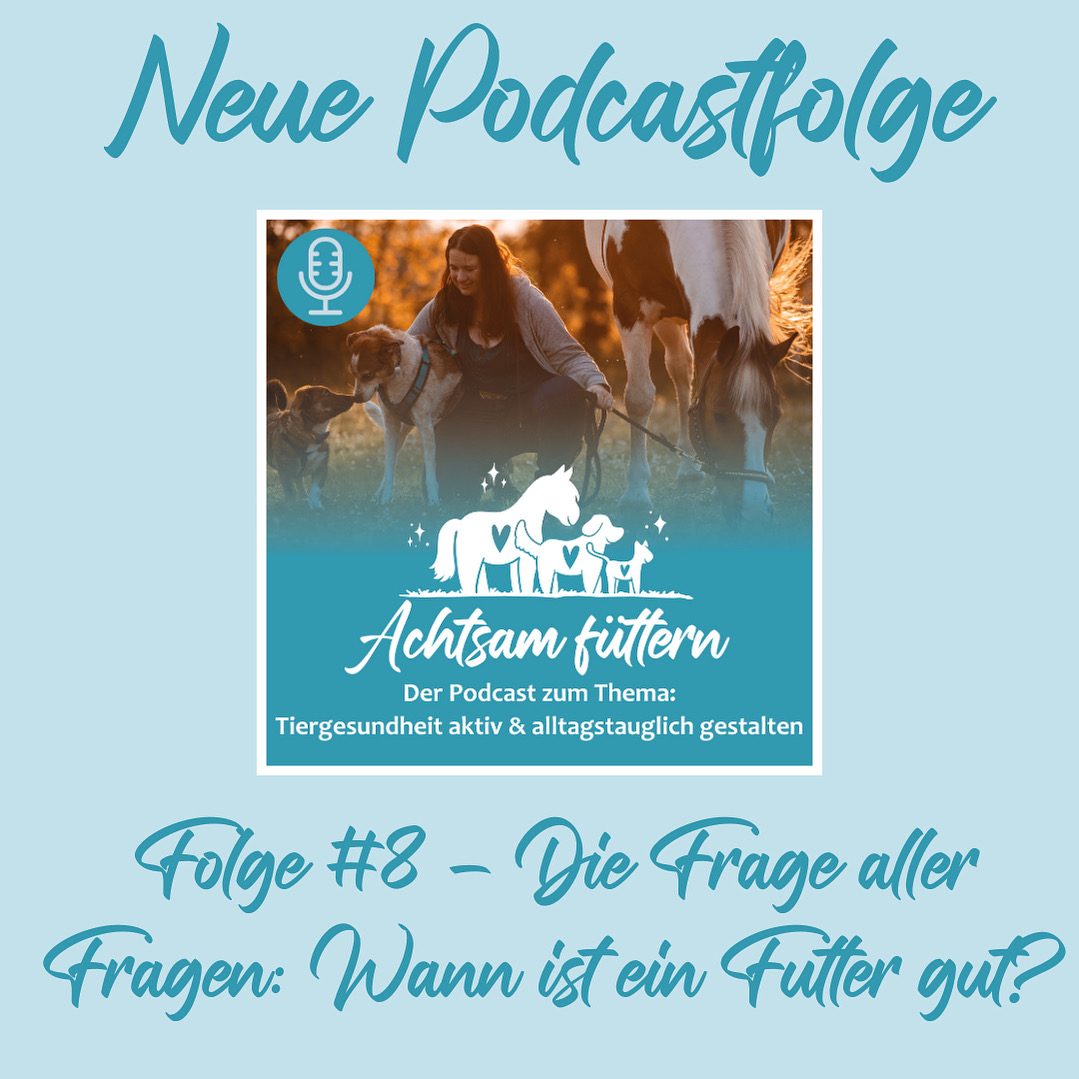 Folge #8 - Die Frage aller Fragen - wann ist ein Futter gut?