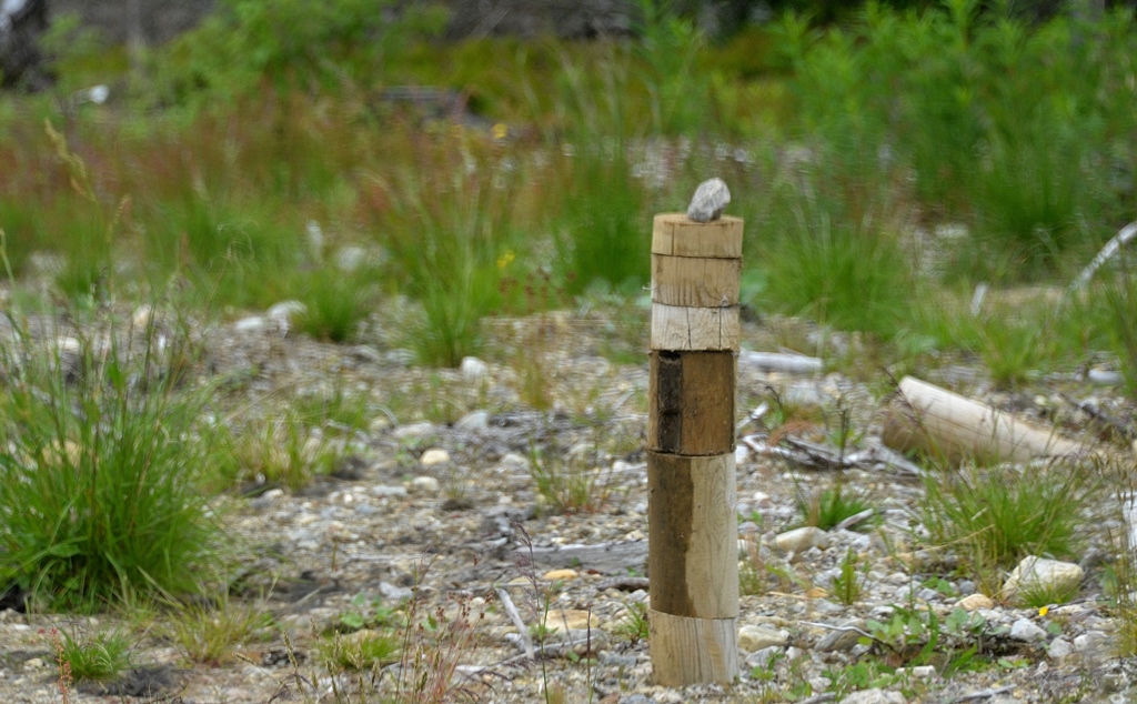 Ein Denkmal, erstellt von Wilson und Nonno