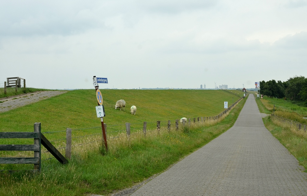 Neuer Stellplatz / Campingplatz in Simonsberg entdeckt