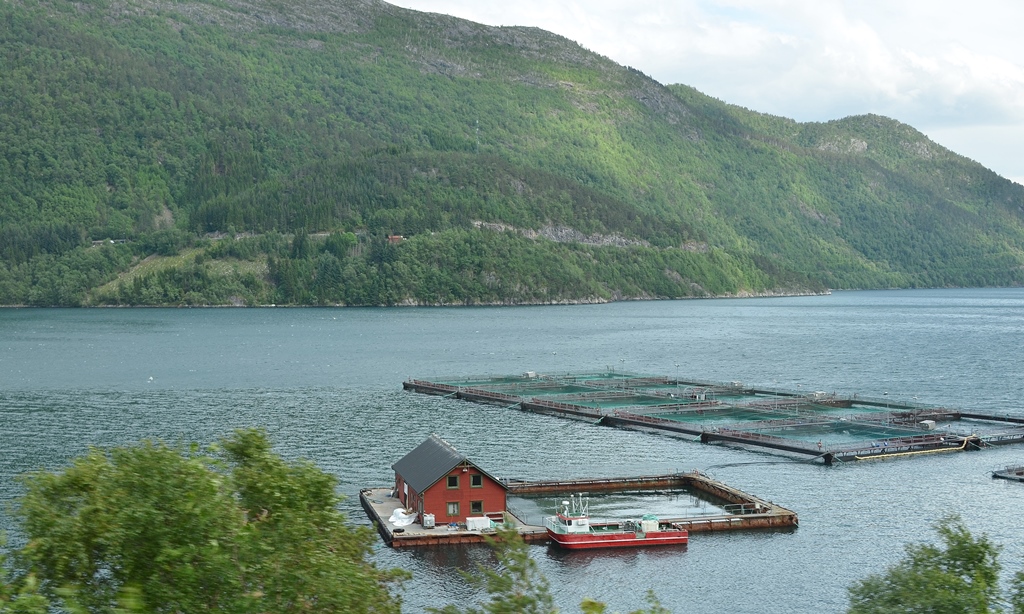 Typisch norwegisch - eine Fischzucht