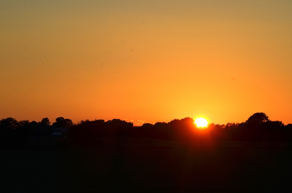 Wir geniessen die Fahrt in diesen Abendstunden