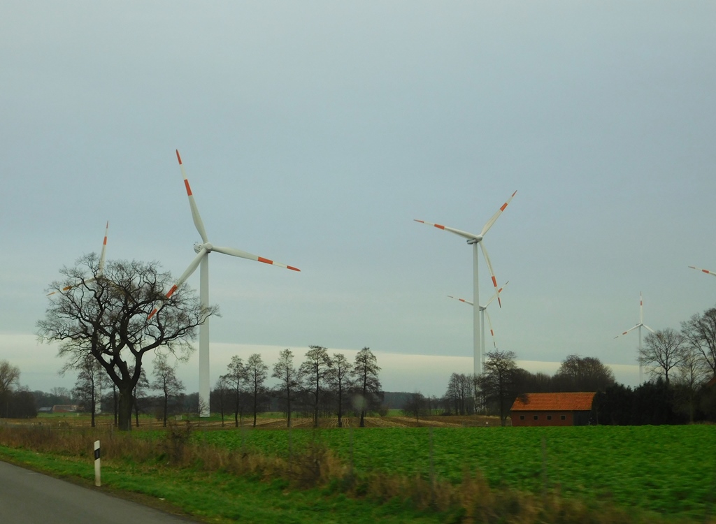 Die ersten Windräder...