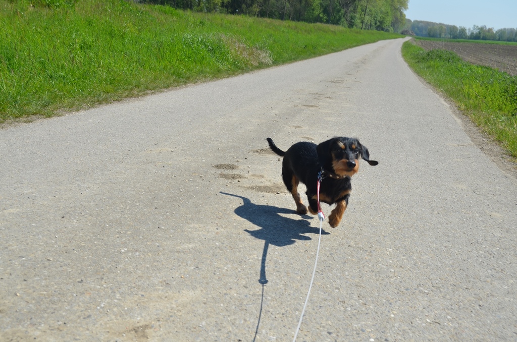 Ein Spaziergang bei diesem herrlichen Wetter