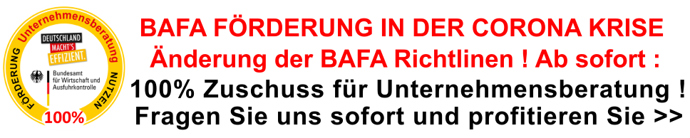 BAFA Förderung Unternehmensberatung 100 Prozent