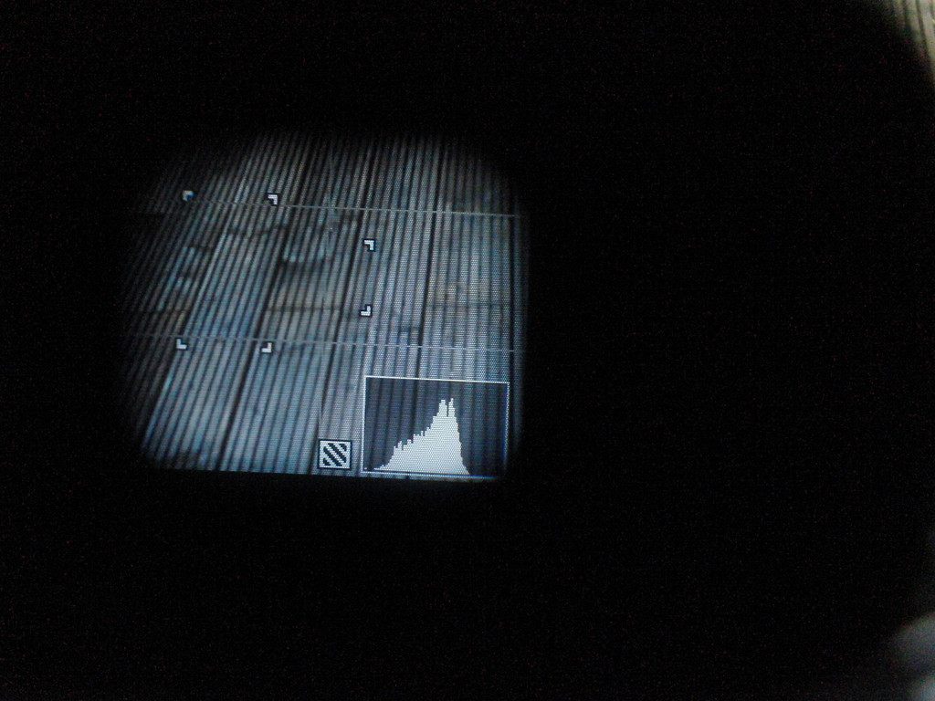 Blick ins große Sucherbild 