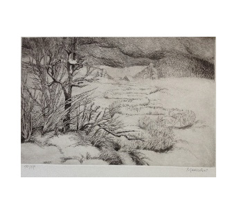 Winterlandschaft, Radierung (1985) 15/27, handsigniert, Bild 19,5 x 30 cm, Blatt 38 x 52 cm, Preis: 190 Euro