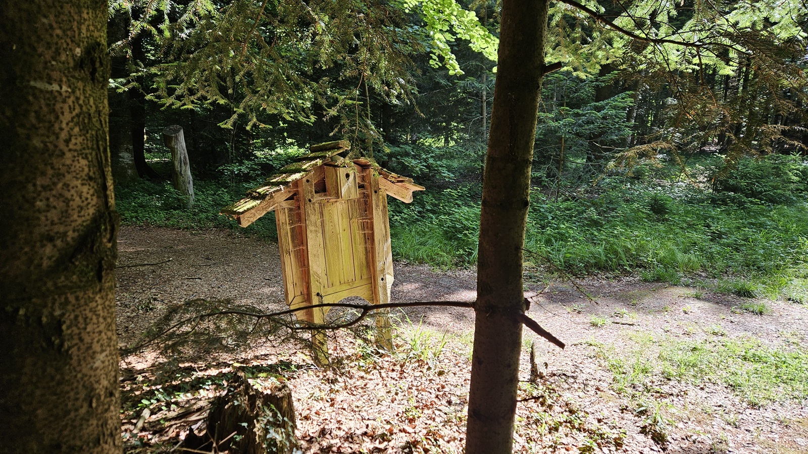 06.06.2026