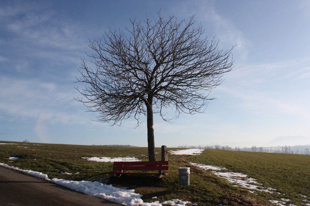 Verkehrsverein Fahrwangen - Alte Bettwilerstrasse (DDT)