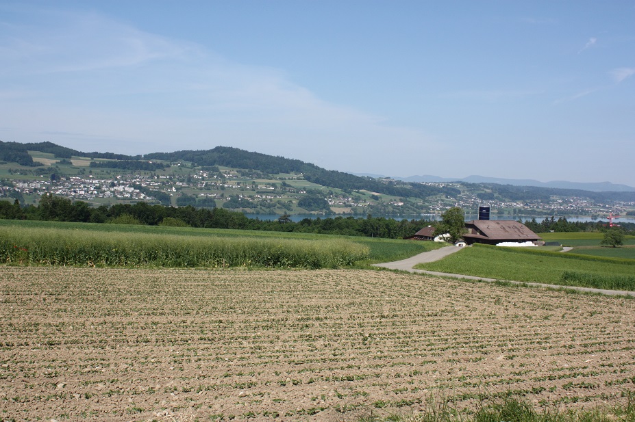 Verkersverein Fahrwangen - Hungerbühl (Grüzenberg)