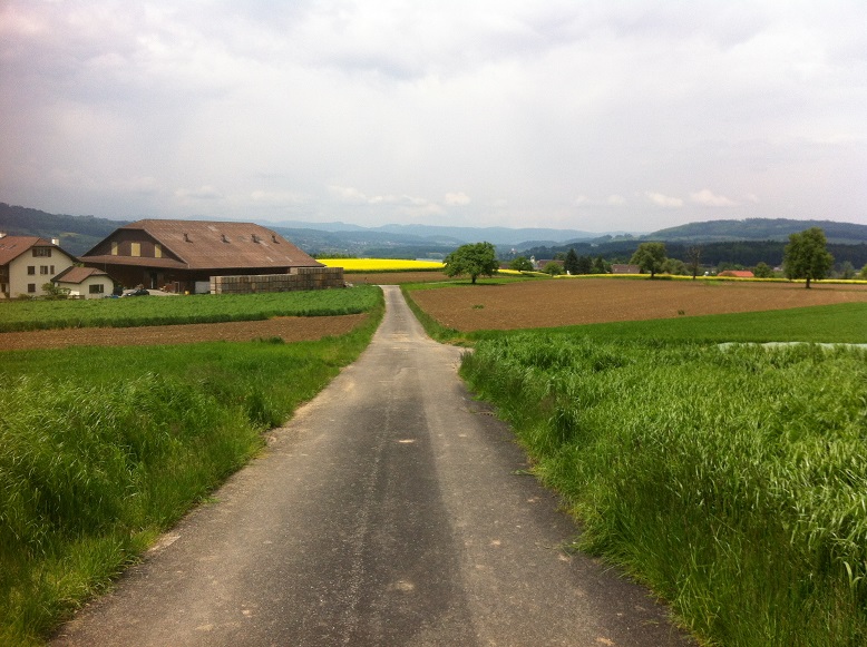 25.05.2013