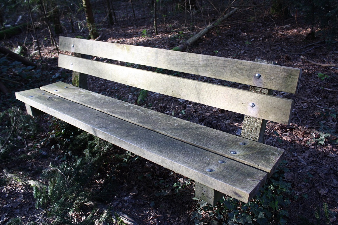 Verkehrsverein Fahrwangen - Im Flurenwald (DDT)